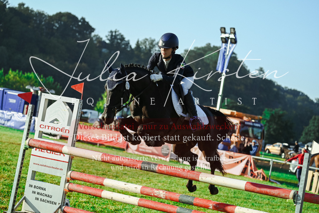 DSC_4095 | Pferde- und Turnierfotografie in Westsachsen. Pferdeportraits, Auftragszeichnungen und intuitive Kunst.