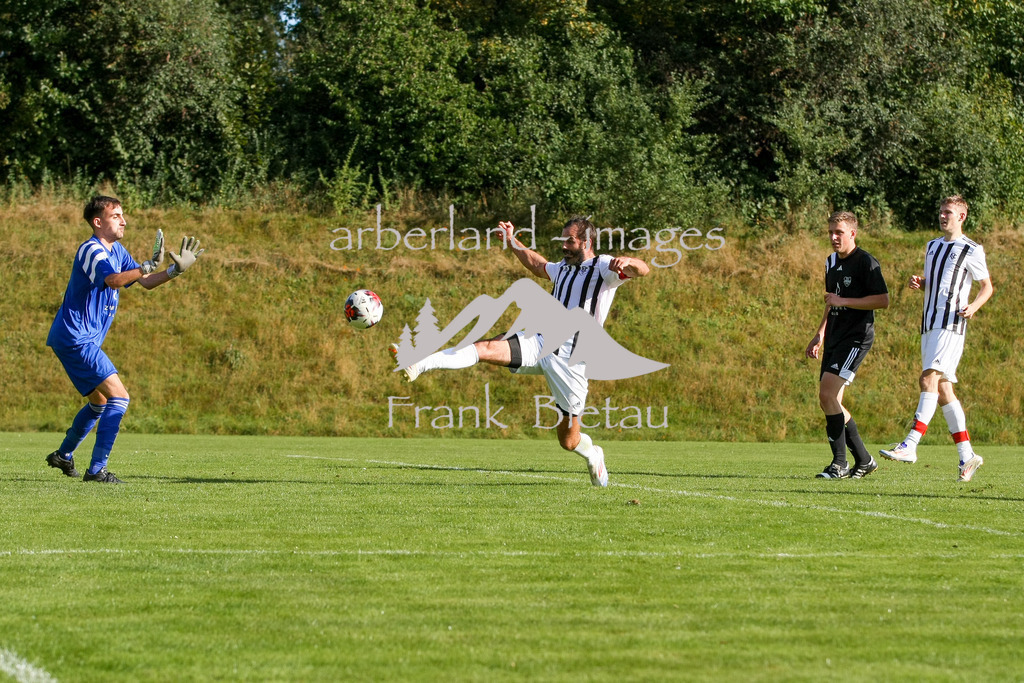 993T6269 | Jan Pysek