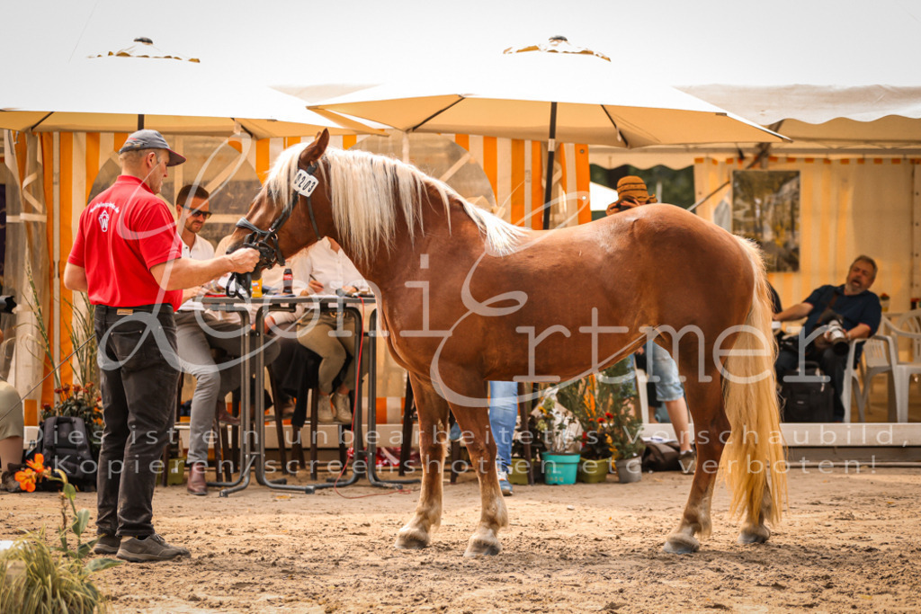 5.Sa00035 | Leoni Ertmer Photography - Realisiert mit Pictrs.com