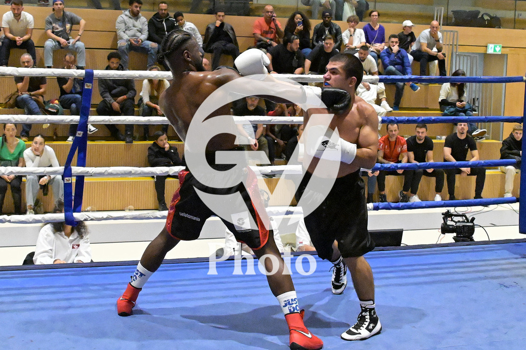 DSC_6813 | Velletri Photo