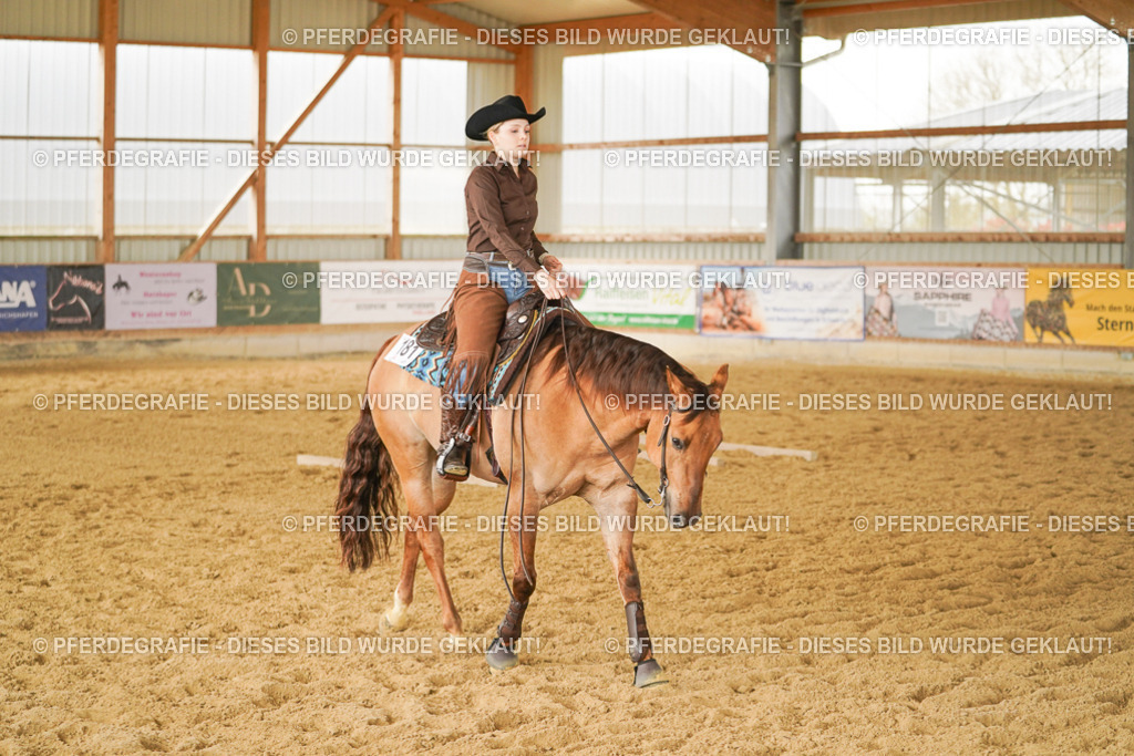 DSC04701 | Pferdegrafie