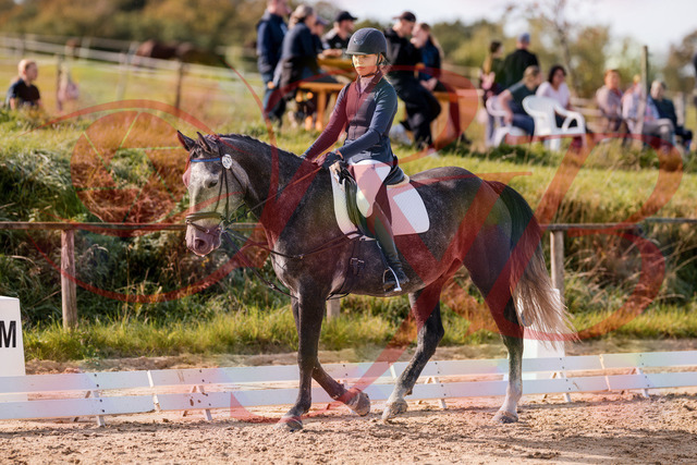 2026_10_03_Siefer-Hof_115943_Z81_00712212 | Professionelle Reitsport-, Turnier- und Eventfotografie von Robert Broda. Galerien mit ausgewählten und bearbeiteten Bildern direkt online ansehen und bestellen.