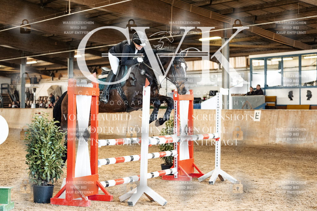 CK905358 | Turnierfotografie Pferdefotografie Trier Rheinland-Pfalz Pferdesport Reitsport Tierfotografie Sportfotografie Pferdevideo Pferdevideografie Equestrianvideography equestrianphotography  - Realized with Pictrs.com