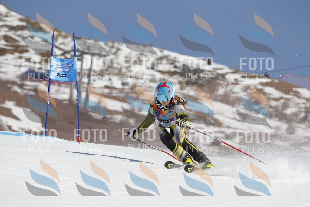 _U3G9345 | holidayphoto