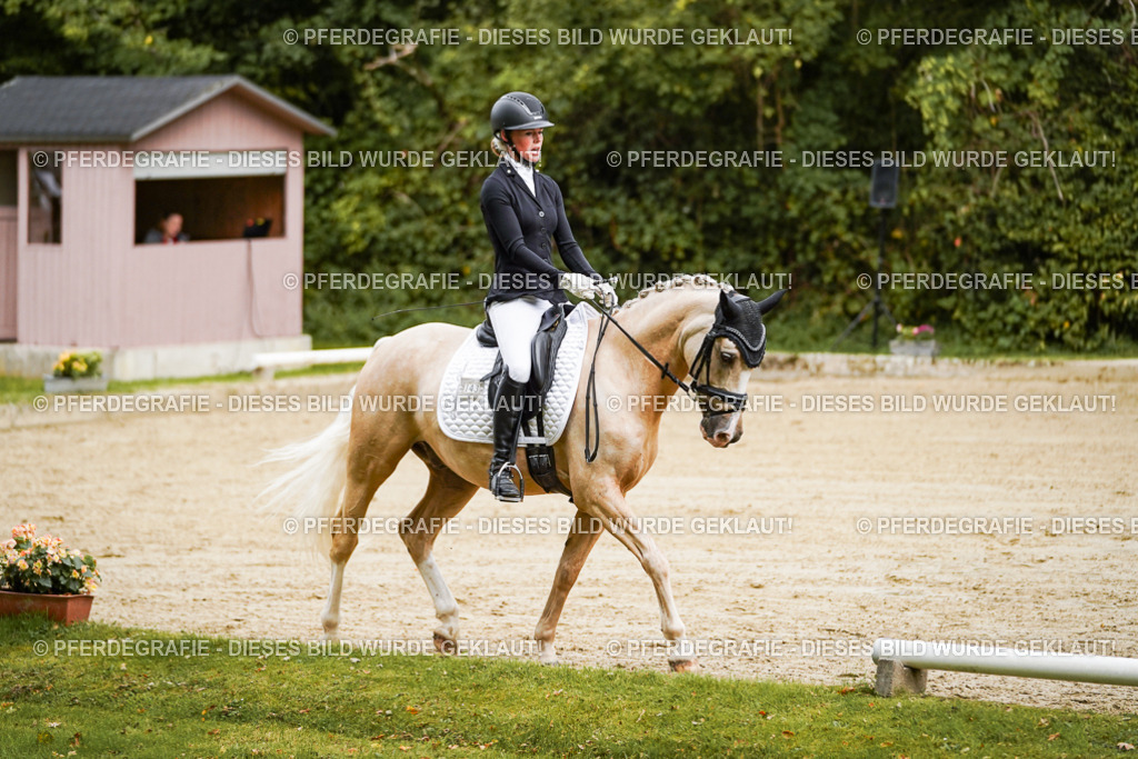 DSC08472 | Pferdegrafie