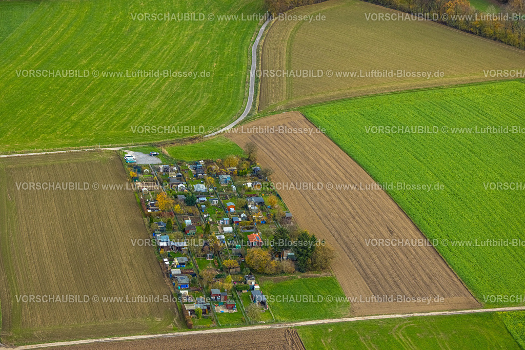 Hagen251101608 | Luftbild, KGV Kleingartenverein Berchum, Wiesen und Felder Lürwald, herbstliche Bäume, Lennetal, Hagen, Ruhrgebiet, Nordrhein-Westfalen, Deutschland