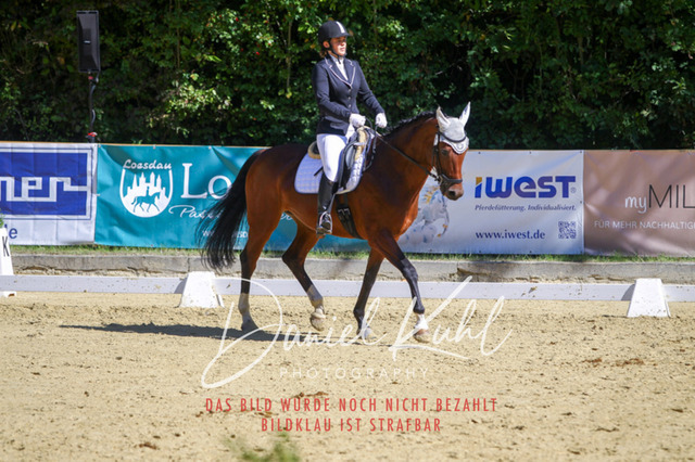 DKP42072 | Turniersportfotografie; Pferdefotografie; Dressurfotografie