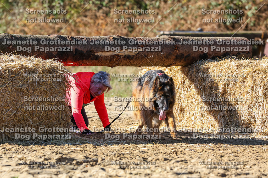 Dog Paparazzi - Strongdog 10-25-2634 | Dog Paparazzi Jeanette Grottendiek Fotografie & Videografie - Realisiert mit Pictrs.com