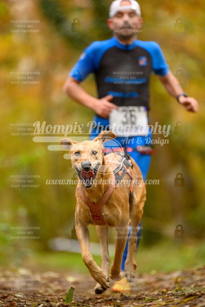 MompixPhotography_Bischwiller24_SA_Canicross-19 | mompixphotography