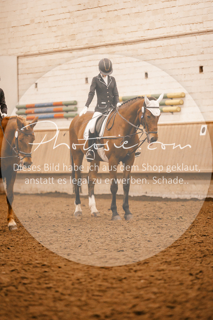 3I6A6384 | Stimmungsvolle Portraits und Reitsportfotografie im Ruhrgebiet und im Münsterland.

Pferdefotografie, Hundefotografie, Tierfotografie, Reportagen, Portraits von Tier und Mensch, Turnierfotografie in Bochum, Recklinghausen, Marl, Haltern am See, Dülmen.. - Realisiert mit Pictrs.com