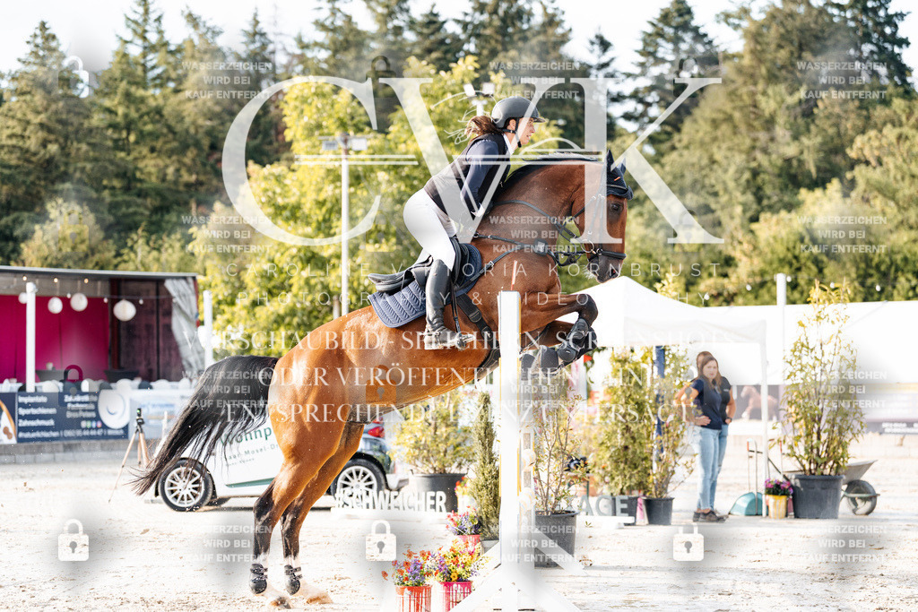 CK903359 | Turnierfotografie Pferdefotografie Trier Rheinland-Pfalz Pferdesport Reitsport Tierfotografie Sportfotografie Pferdevideo Pferdevideografie Equestrianvideography equestrianphotography  - Realisiert mit Pictrs.com