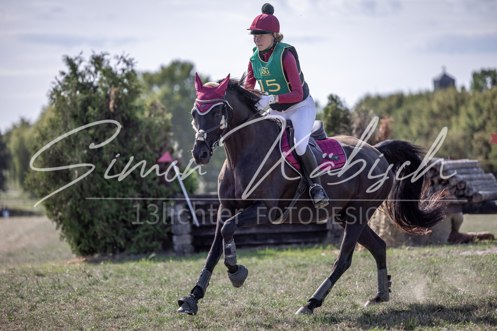20260906-_3LI6195 | Tierfotografie Pferde, Hunde, Katzen, Haustiere.
Turnierfotografie Reitturniere, Reiten, Springreiten, Dressur in Hanau, dem Main-Kinzig-Kreis und dem Rhein-Main- Gebiet um Frankfurt