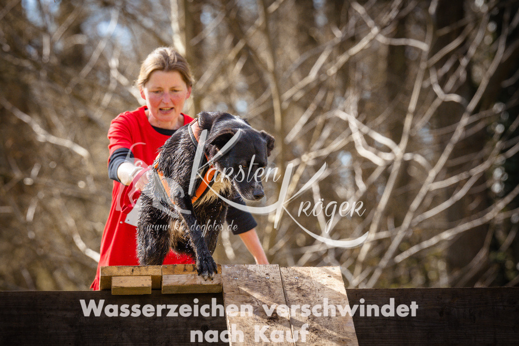 0911_ZZ94095 | kk-dogfotos