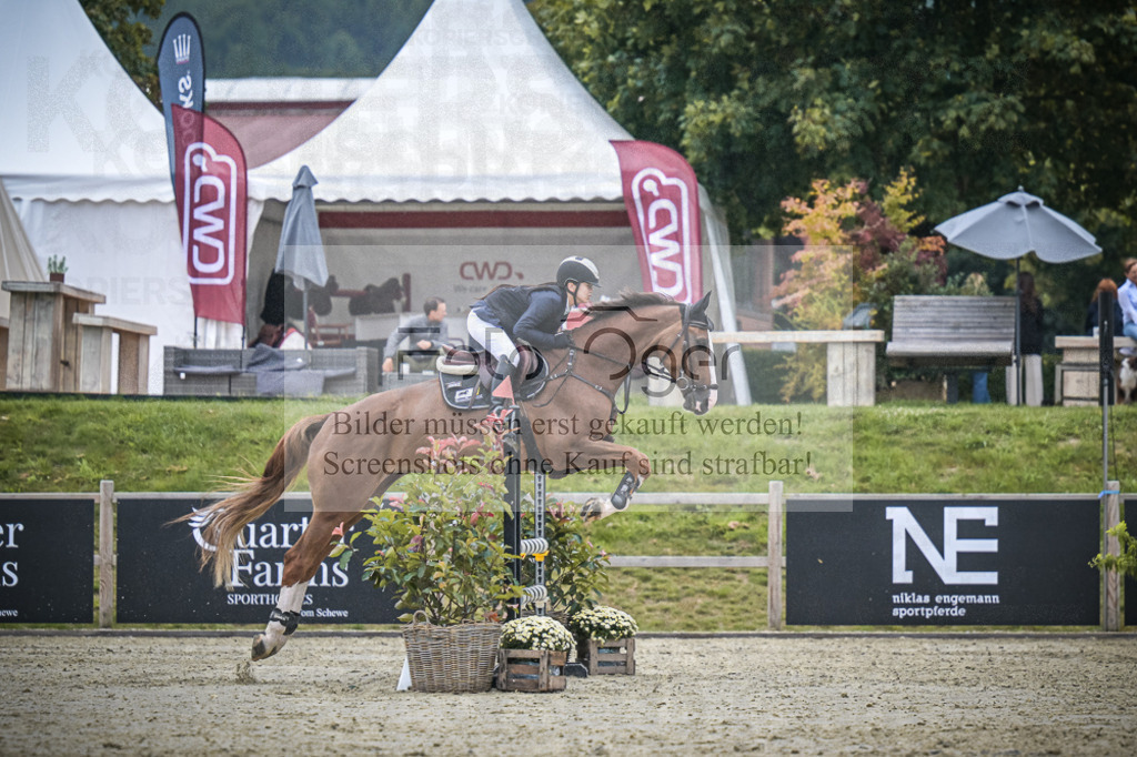 DOS_0811 | Entdecke hochwertige Reitturnierfotos von Foto Oger. Professionell, emotional und authentisch – jetzt Lieblingsmomente im Shop bestellen.Deutschlandweite Turnierfotografie. - Realisiert mit Pictrs.com