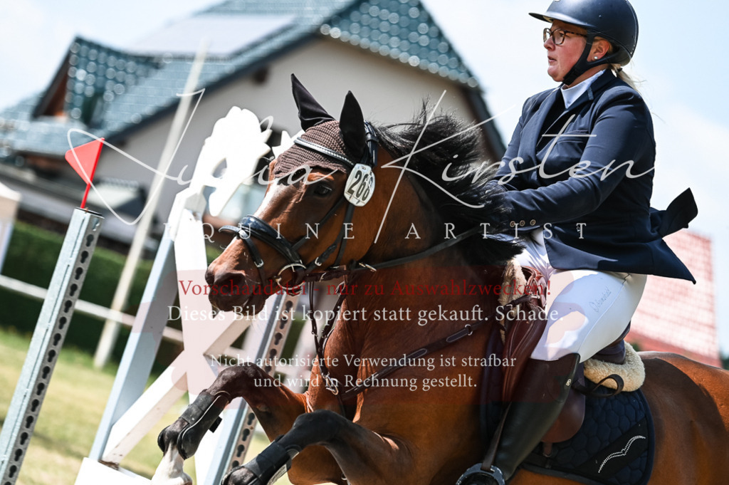 DSC_9295 | Pferde- und Turnierfotografie in Westsachsen. Pferdeportraits, Auftragszeichnungen und intuitive Kunst.