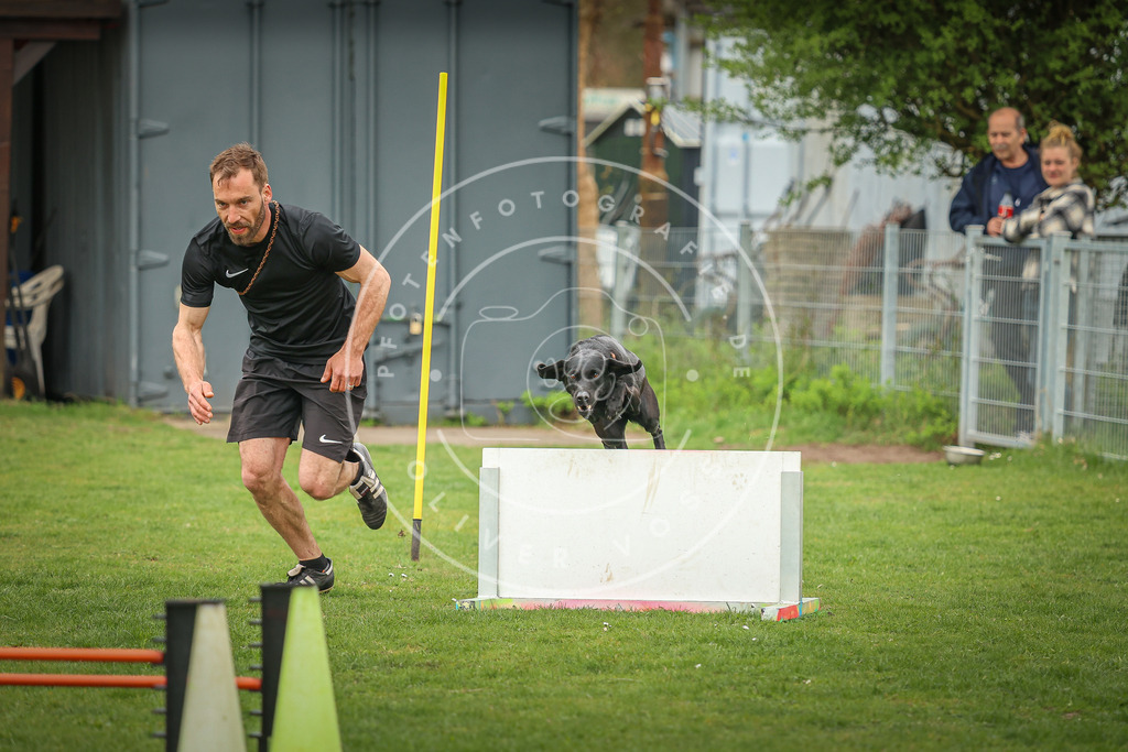 Pfotenfotografie_0L8A0355 | Hundefotografie, Tierfotograf, Pfotenfotografie, Fotoshooting Hund, Hunde Portrait, Hundesport, Hundeportraits, Heideshooting, Hunde, Sportfotograf, Hundefotograf, Turnierhundsport, THS,  - Realisiert mit Pictrs.com