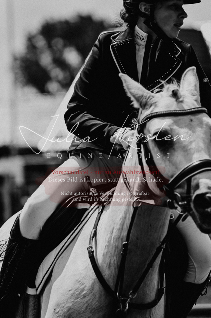 DSC_9412 | Pferde- und Turnierfotografie in Westsachsen. Pferdeportraits, Auftragszeichnungen und intuitive Kunst.