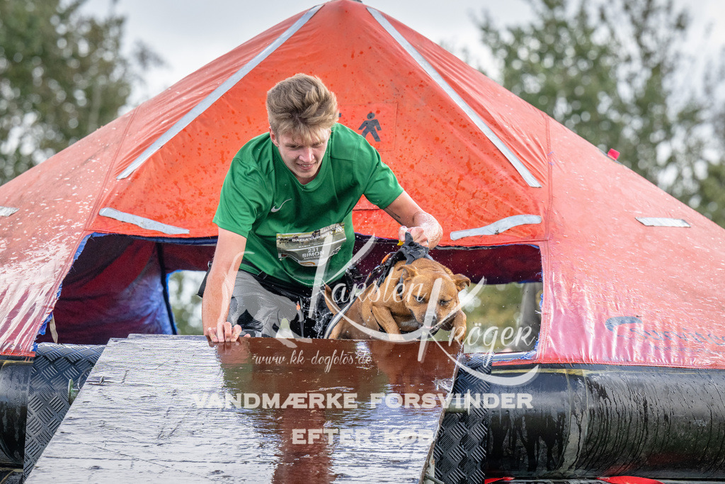 1223-93585 | kk-dogfotos