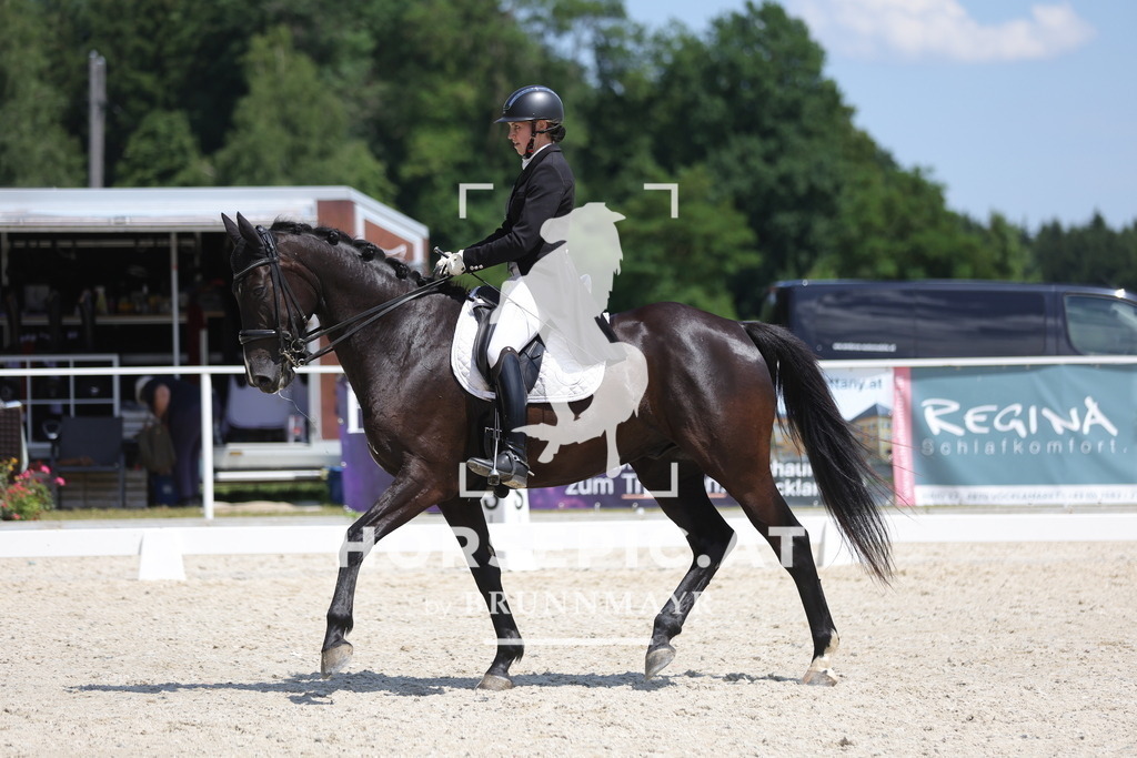 0P6A6505 | Willkommen bei Brunnmayr - Design & Fotografie – Ihrem Spezialisten für Reitturniere und Pferdeveranstaltungen in Oberösterreich, Salzburg und Bayern! Seit über 17 Jahren sind wir leidenschaftlich dabei.