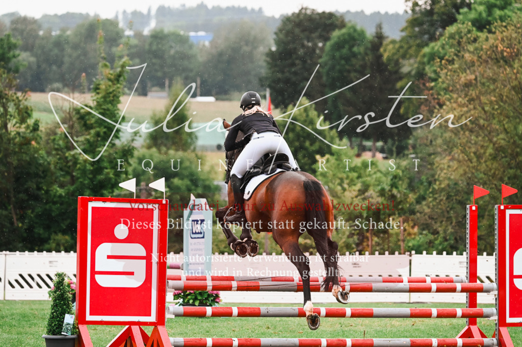 DSC_6565 | Pferde- und Turnierfotografie in Westsachsen. Pferdeportraits, Auftragszeichnungen und intuitive Kunst.