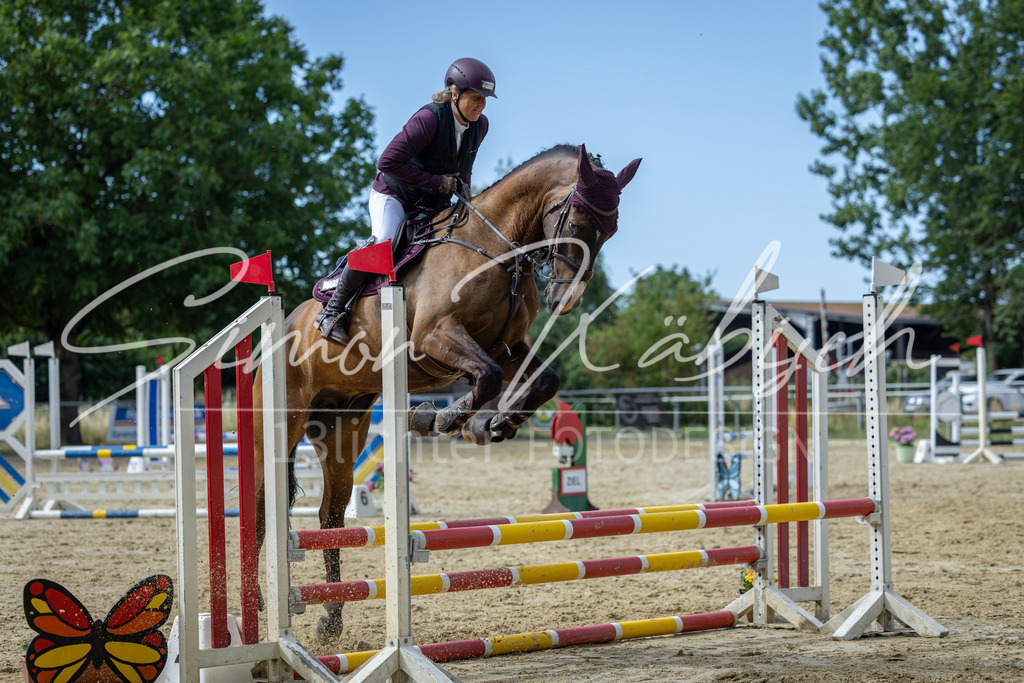 20260704-_3LI6732 | Tierfotografie Pferde, Hunde, Katzen, Haustiere.
Turnierfotografie Reitturniere, Reiten, Springreiten, Dressur in Hanau, dem Main-Kinzig-Kreis und dem Rhein-Main- Gebiet um Frankfurt