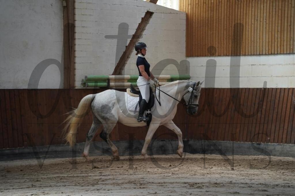 beckingen (242) | d.tail Visions - Shop - Realisiert mit Pictrs.com