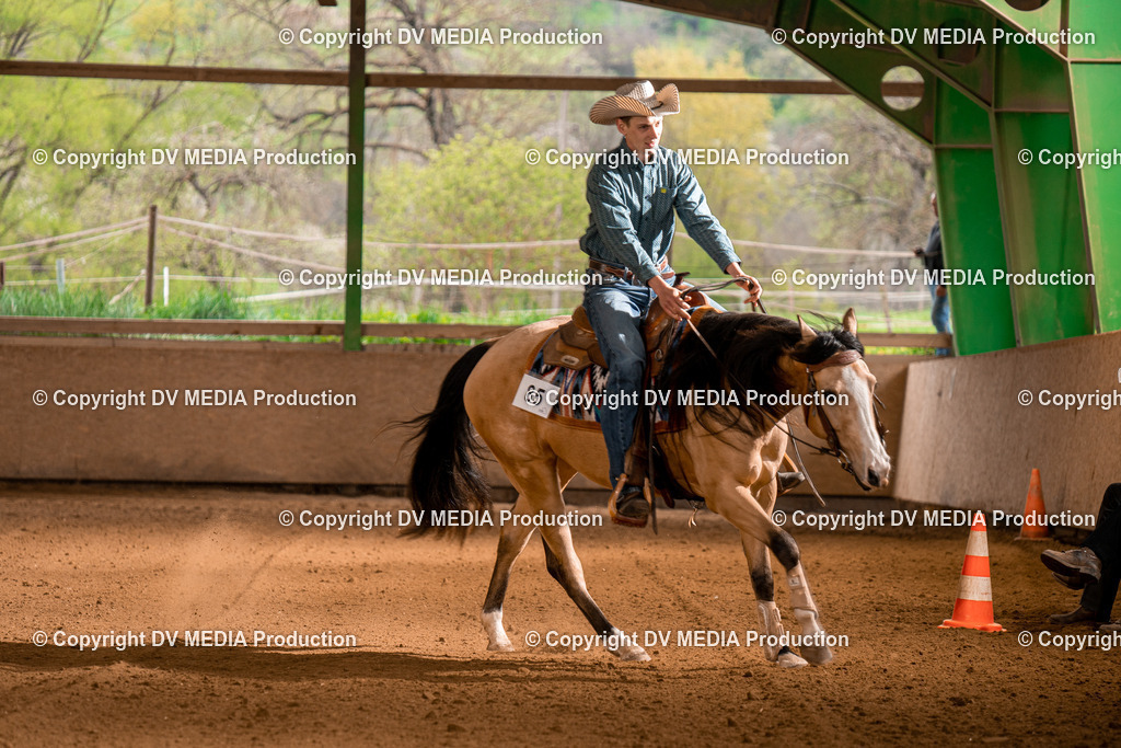 BA400488 | dv-media-shop - Realisiert mit Pictrs.com