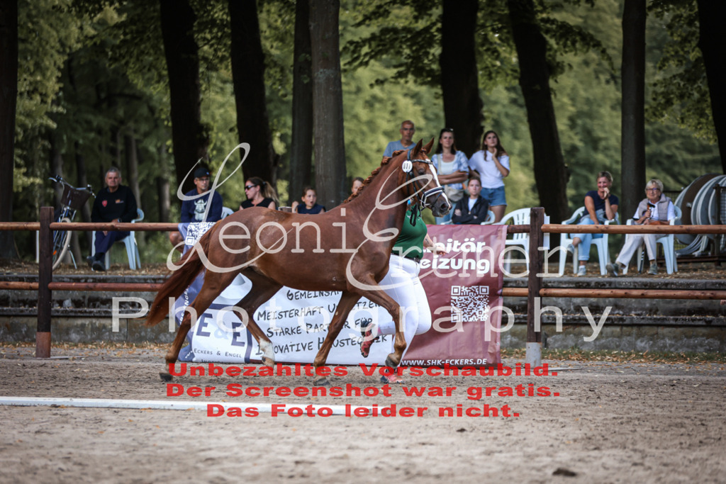 SoER00015 | Leoni Ertmer Photography - Realisiert mit Pictrs.com