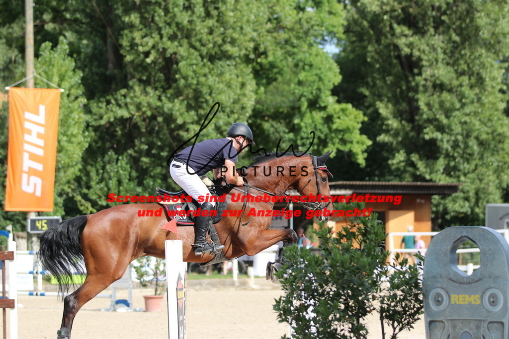 IMG_0737 | lmwpictures - Realisiert mit Pictrs.com