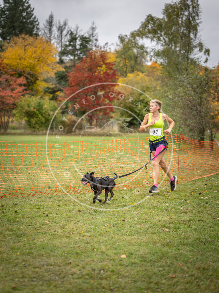 Pfotenfotografie_DV3A3398 | Hundefotografie, Tierfotograf, Pfotenfotografie, Fotoshooting Hund, Hunde Portrait, Hundesport, Hundeportraits, Heideshooting, Hunde, Sportfotograf, Hundefotograf, Turnierhundsport, THS,  - Realisiert mit Pictrs.com