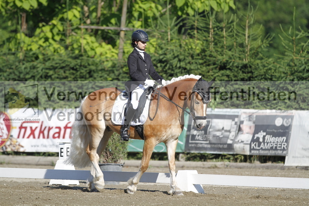_MG_0491 | equestrian-live-com