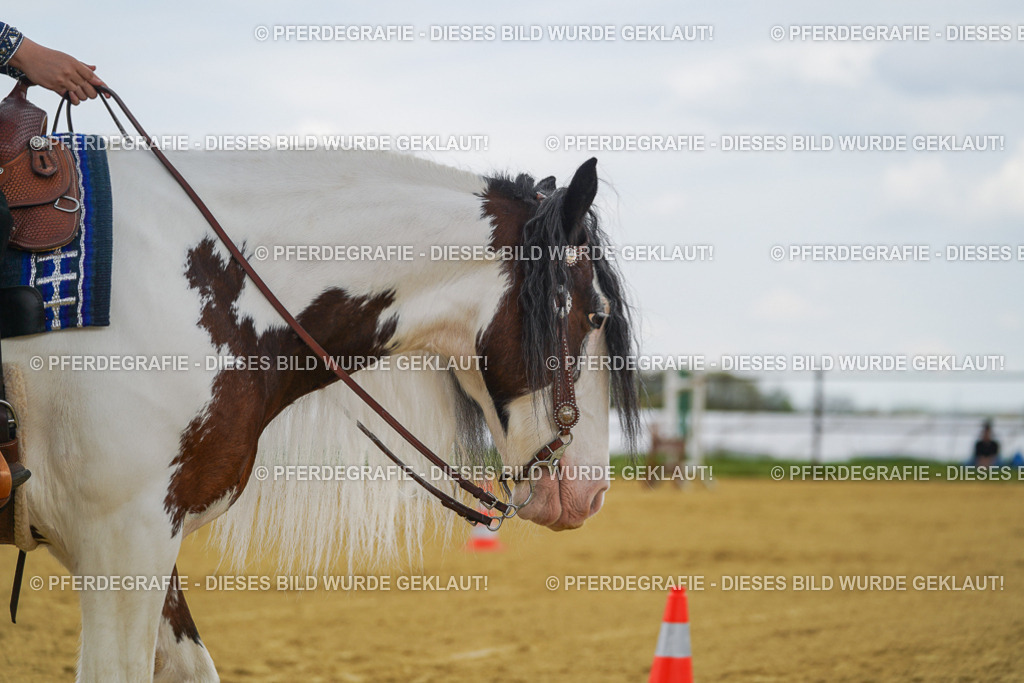 DSC05943 | Pferdegrafie