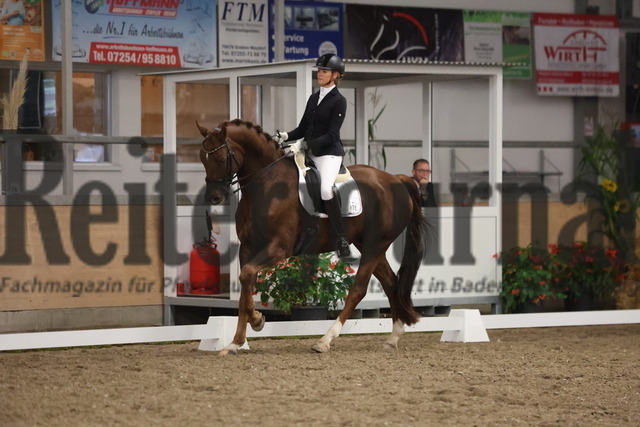 Waghäusel-Wiesental_2024_Prfg.Nr.08_1.WP_U25_Nizia Pötter_Max van de Fohlenhof (13) | Alle Fotos der Reiterjournal Fotografin Doris Matthaes im Reiterjournal Online-Fotoshop. - Realisiert mit Pictrs.com