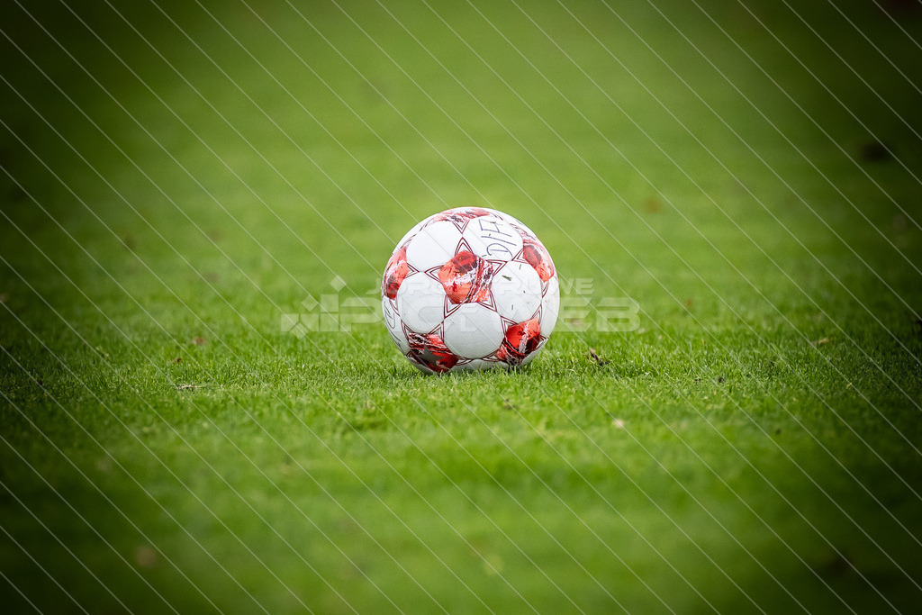 20251031_Picselweb-Fotografie_1R3_2239 | Dein Fotograf aus dem Landkreis Stade für Sport und Events - Realisiert mit Pictrs.com