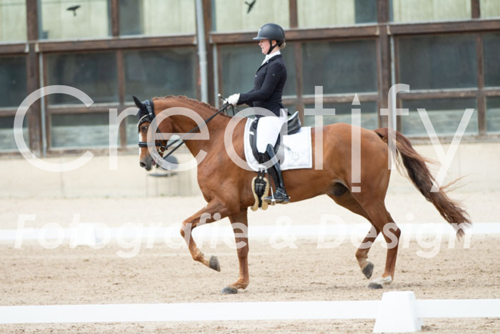 IMG_6178 | Creatify Fotografie