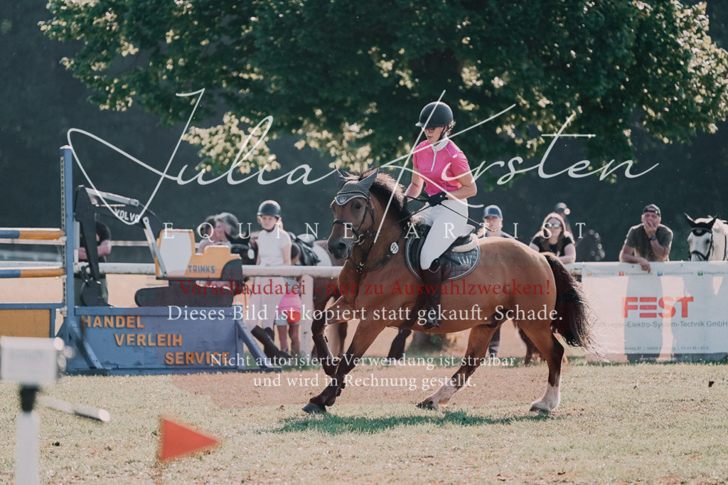 DSC_4576 | Pferde- und Turnierfotografie in Westsachsen. Pferdeportraits, Auftragszeichnungen und intuitive Kunst.