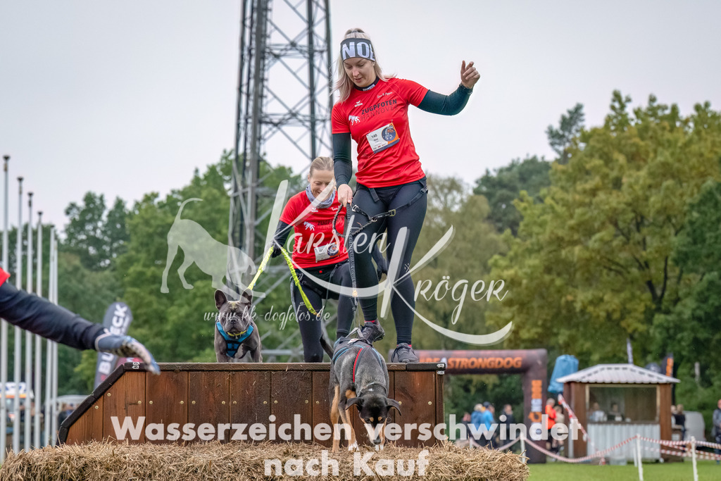 1210--5 | kk-dogfotos