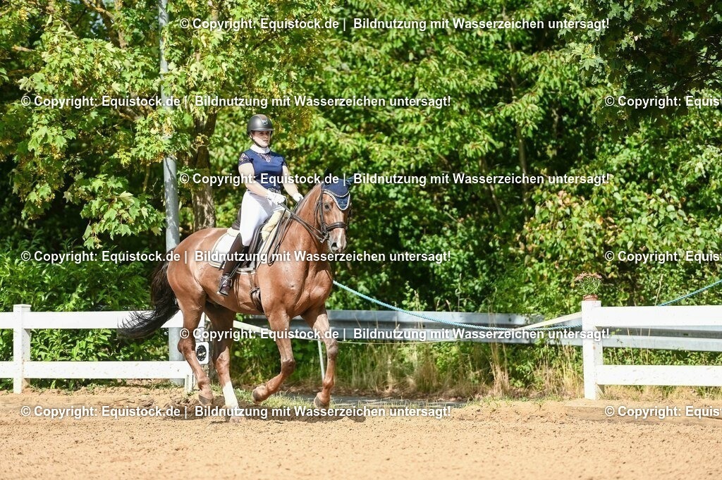 20230716_01_Dressurprüfung Kl.M_0371 | equistock