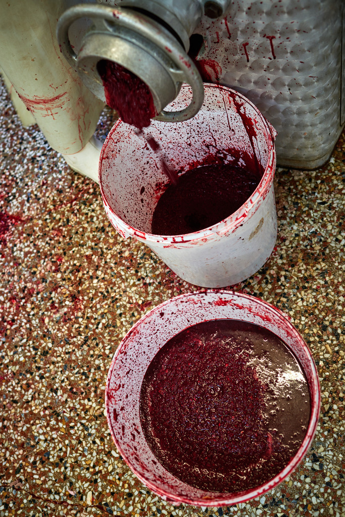 Fleischerei Dormayer | Langenzersdorf, Austria - February 12, 2019: Fleischerei Dormayer - Blutwurst Herstellung; das Blut mit den Alten Semmeln im Kutter. - Realisiert mit Pictrs.com
