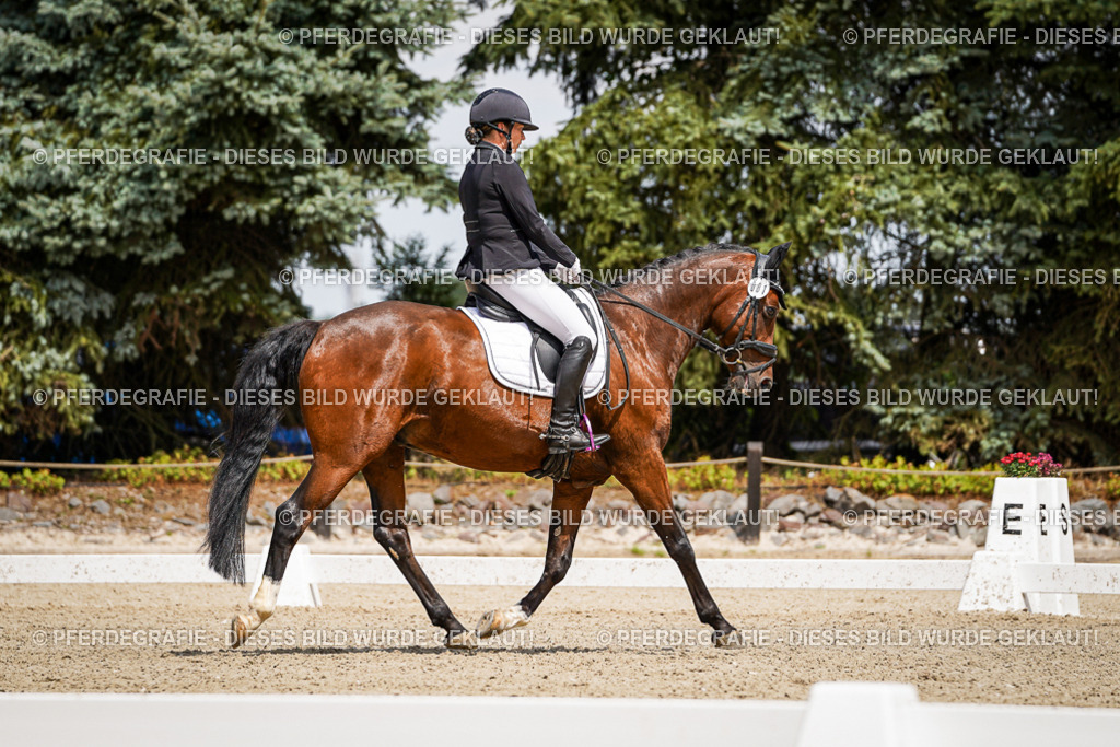 DSC02316 | Pferdegrafie