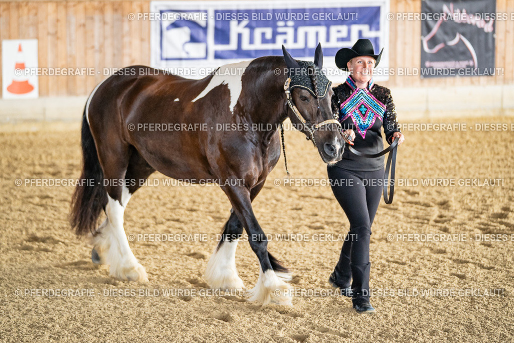 DSC07530 | Pferdegrafie