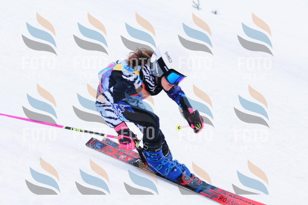 C2690 | holidayphoto