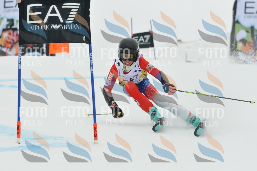 DSC_8442 | holidayphoto