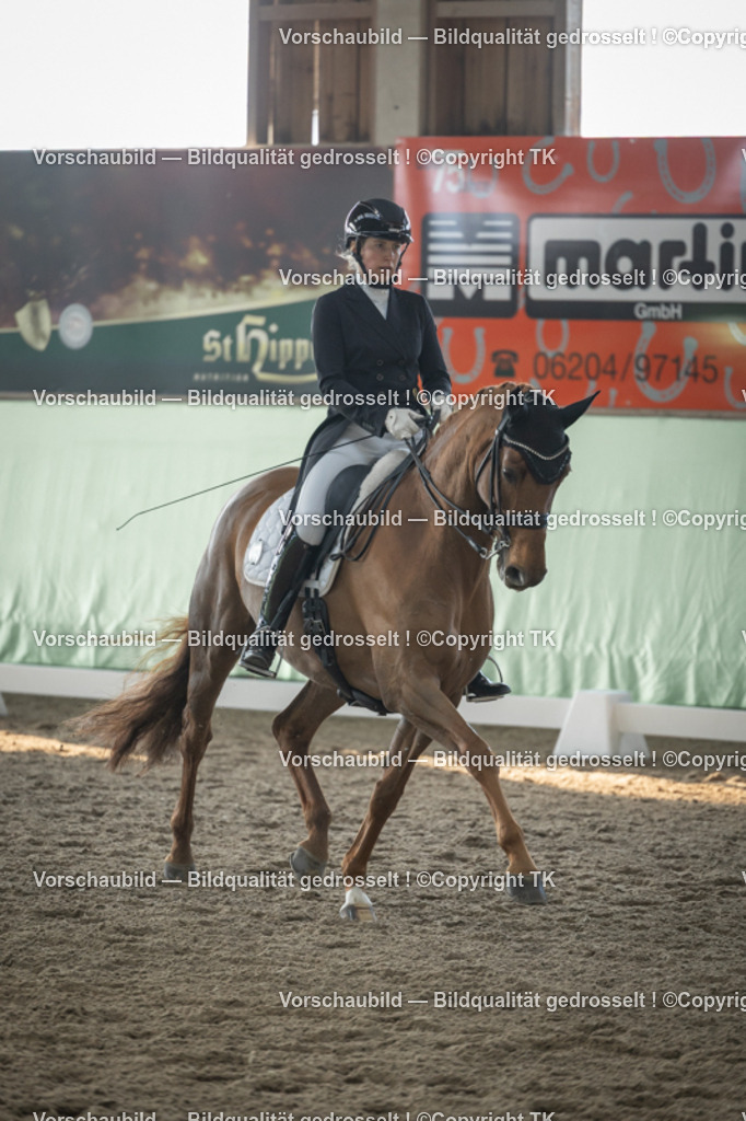 _D5A8063 | Emotionale Pferde- & People-Fotografie rund um Heidelberg, Leimen & Umgebung. Natürliche Fotos von Pferd, Mensch & Familie. Jetzt Termin sichern!