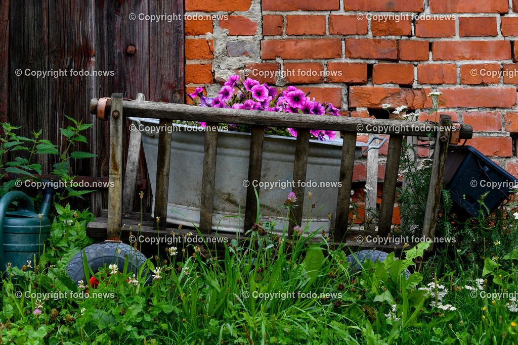 Deutschland_ Baden-Wuerttemberg_ Ebersbach an der Fils_ 29.07.2025-6 | 29.07.2025, Deutschland, GER, Baden-Wuerttemberg, Ebersbach an der Fils, im Bild Themenbild, Karren, Wagen, Dekoration, Blumen, bluehen, Handkarren, Bollerwagen, Trog, Haus, Feature, Symbolbild