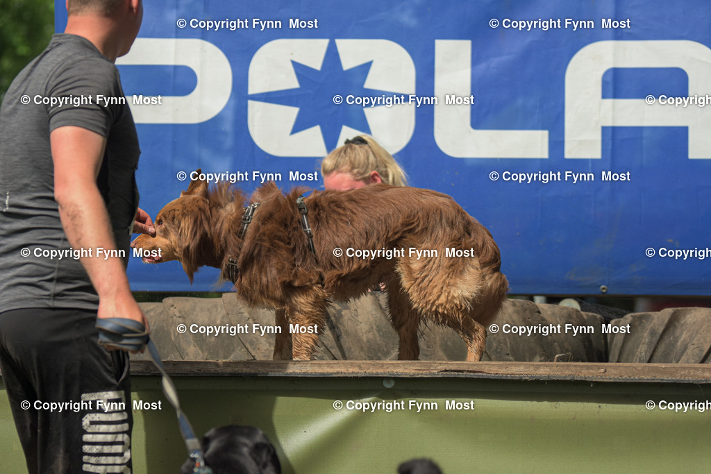 DSC_0564 | Hallo und herzlich Willkommen auf meiner Shop-Seite Fynn Most.

Ich wünsche Dir viel Spaß beim stöbern durch die Bilder, wenn Du Fragen hast oder Bilder vermisst, kannst du mir gerne eine Nachricht schreiben. - Realisiert mit Pictrs.com