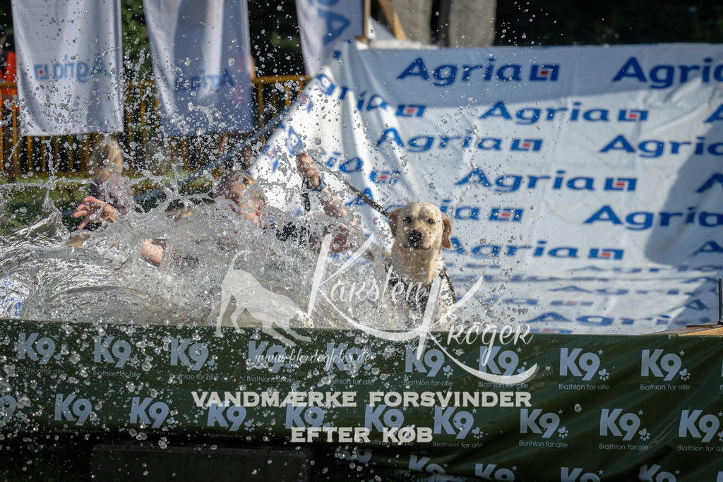 0927_ZZ95470 | kk-dogfotos