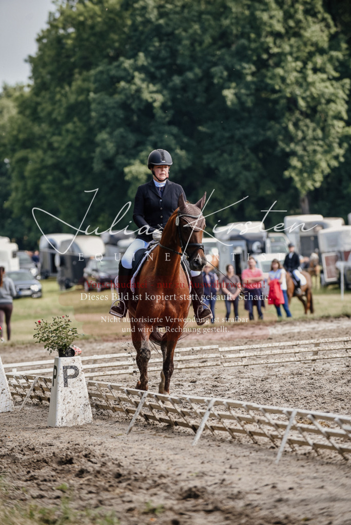 DSC_9301 | Pferde- und Turnierfotografie in Westsachsen. Pferdeportraits, Auftragszeichnungen und intuitive Kunst.
