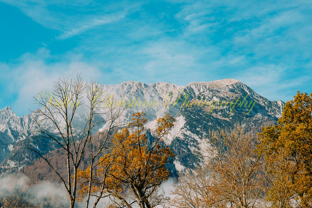 P 130 | Christian Vulin  - Realisiert mit Pictrs.com