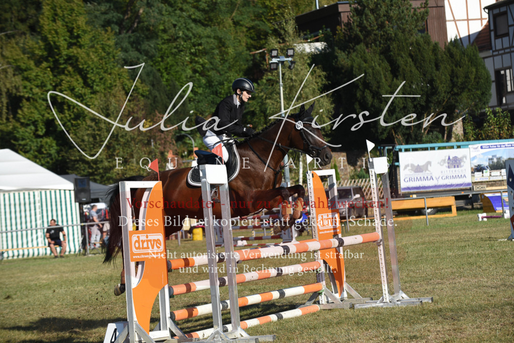 DSC_5218 | Pferde- und Turnierfotografie in Westsachsen. Pferdeportraits, Auftragszeichnungen und intuitive Kunst.